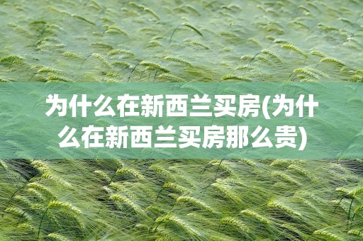 为什么在新西兰买房(为什么在新西兰买房那么贵)