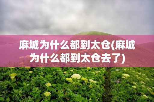 麻城为什么都到太仓(麻城为什么都到太仓去了)