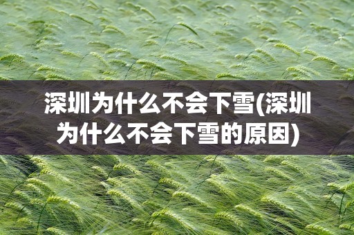 深圳为什么不会下雪(深圳为什么不会下雪的原因)