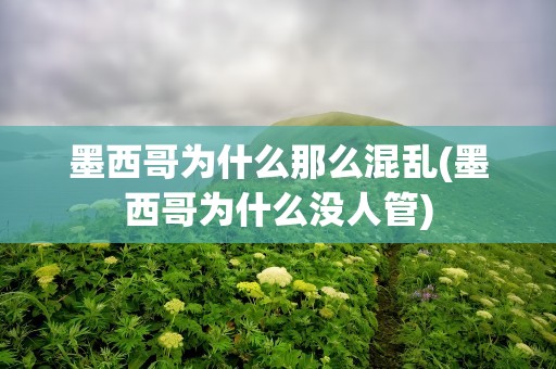 墨西哥为什么那么混乱(墨西哥为什么没人管)
