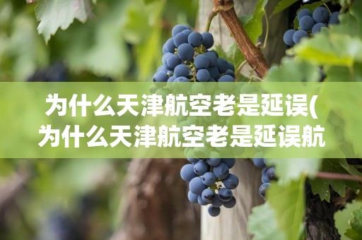 为什么天津航空老是延误(为什么天津航空老是延误航班)