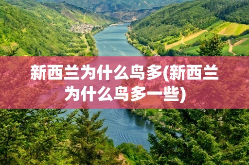 新西兰为什么鸟多(新西兰为什么鸟多一些)