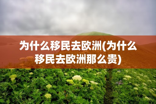 为什么移民去欧洲(为什么移民去欧洲那么贵)
