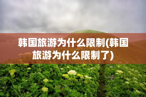 韩国旅游为什么限制(韩国旅游为什么限制了)