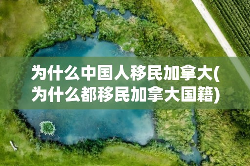 为什么中国人移民加拿大(为什么都移民加拿大国籍)