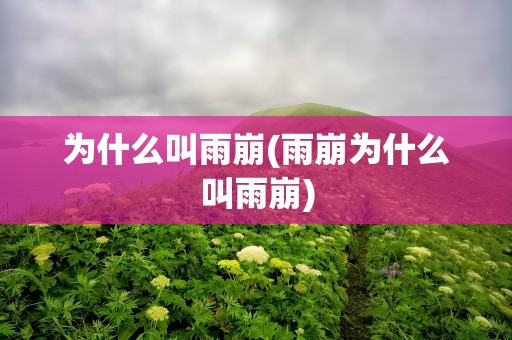 为什么叫雨崩(雨崩为什么叫雨崩)