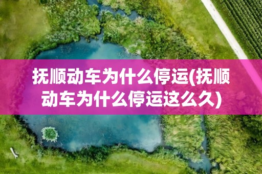 抚顺动车为什么停运(抚顺动车为什么停运这么久)