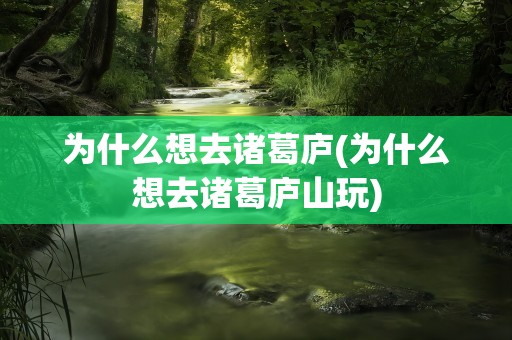 为什么想去诸葛庐(为什么想去诸葛庐山玩)