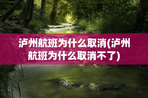 泸州航班为什么取消(泸州航班为什么取消不了)