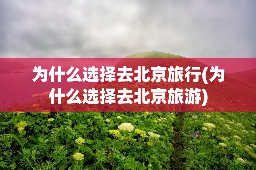 为什么选择去北京旅行(为什么选择去北京旅游)