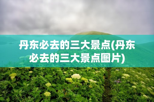 丹东必去的三大景点(丹东必去的三大景点图片)