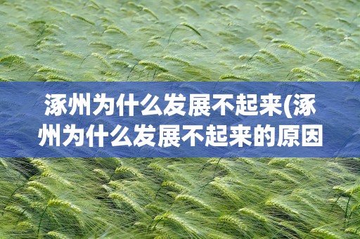 涿州为什么发展不起来(涿州为什么发展不起来的原因)