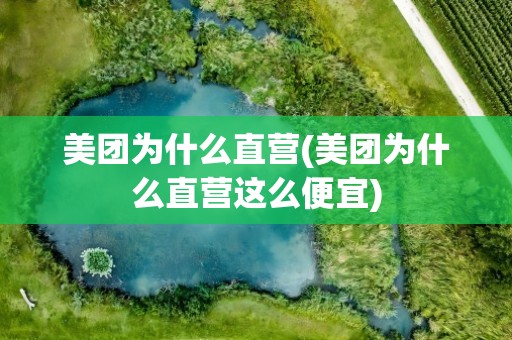 美团为什么直营(美团为什么直营这么便宜)