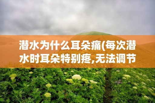 潜水为什么耳朵痛(每次潜水时耳朵特别疼,无法调节)