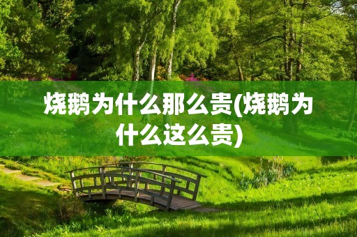 烧鹅为什么那么贵(烧鹅为什么这么贵)