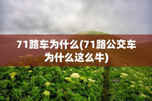 71路车为什么(71路公交车为什么这么牛)
