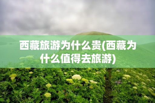 西藏旅游为什么贵(西藏为什么值得去旅游)