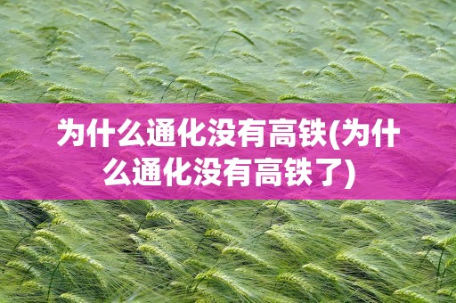 为什么通化没有高铁(为什么通化没有高铁了)