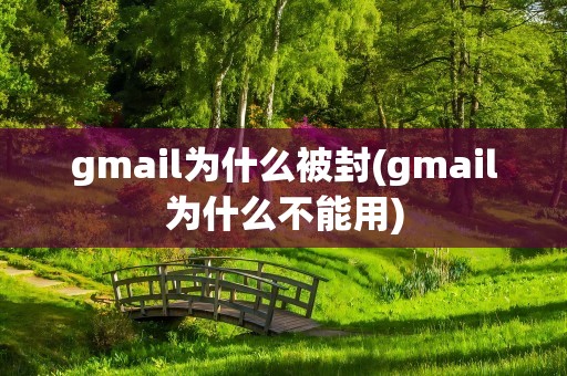 gmail为什么被封(gmail为什么不能用)