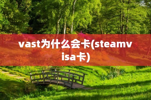 vast为什么会卡(steamvisa卡)