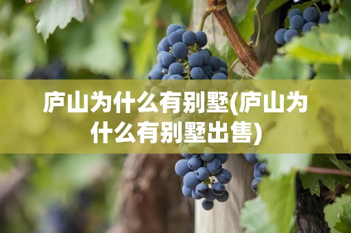 庐山为什么有别墅(庐山为什么有别墅出售)