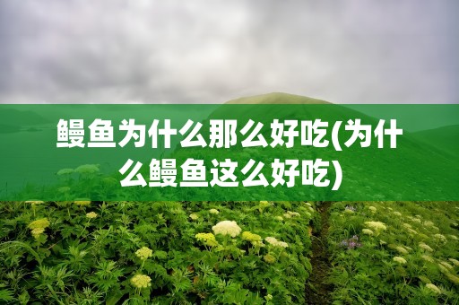 鳗鱼为什么那么好吃(为什么鳗鱼这么好吃)