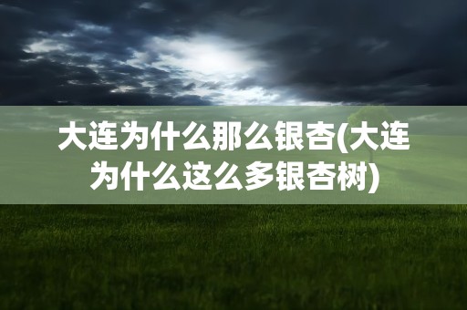 大连为什么那么银杏(大连为什么这么多银杏树)