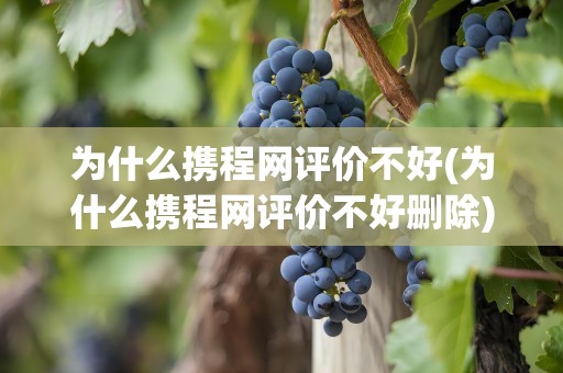 为什么携程网评价不好(为什么携程网评价不好删除)