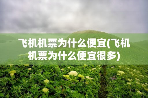 飞机机票为什么便宜(飞机机票为什么便宜很多)