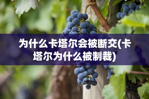 为什么卡塔尔会被断交(卡塔尔为什么被制裁)