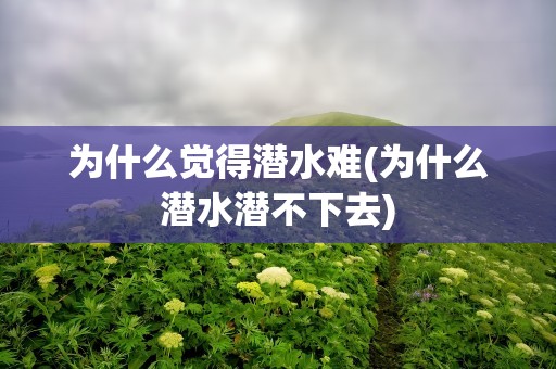为什么觉得潜水难(为什么潜水潜不下去)