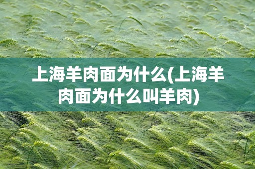 上海羊肉面为什么(上海羊肉面为什么叫羊肉)