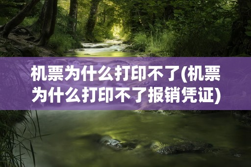 机票为什么打印不了(机票为什么打印不了报销凭证)