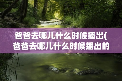 爸爸去哪儿什么时候播出(爸爸去哪儿什么时候播出的)