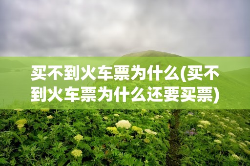 买不到火车票为什么(买不到火车票为什么还要买票)