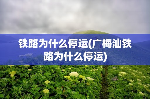 铁路为什么停运(广梅汕铁路为什么停运)