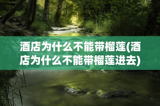 酒店为什么不能带榴莲(酒店为什么不能带榴莲进去)