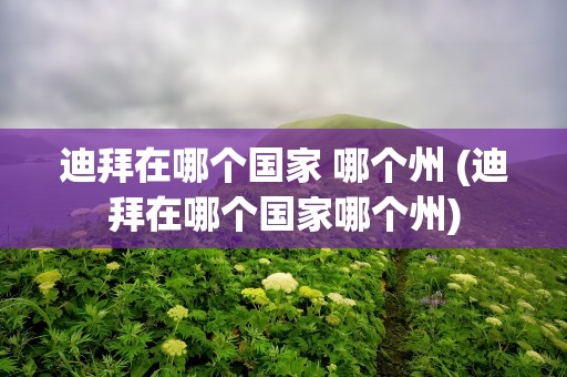 迪拜在哪个国家 哪个州 (迪拜在哪个国家哪个州)