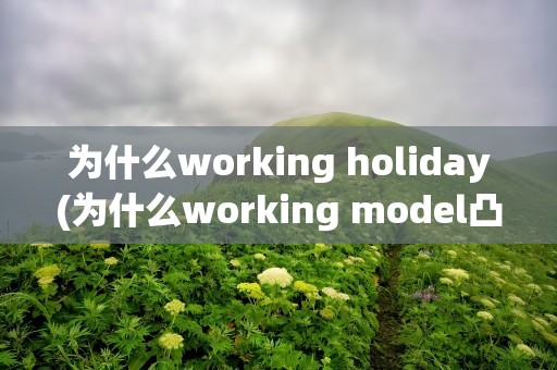 为什么working holiday(为什么working model凸轮出错)