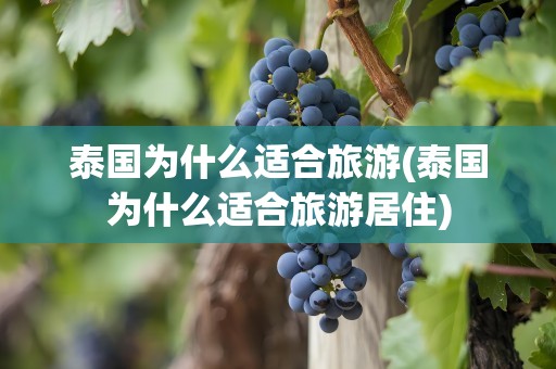 泰国为什么适合旅游(泰国为什么适合旅游居住)