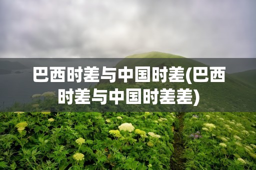 巴西时差与中国时差(巴西时差与中国时差差)