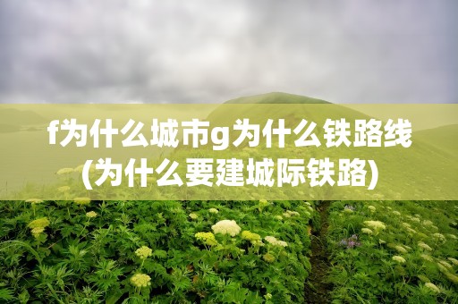 f为什么城市g为什么铁路线(为什么要建城际铁路)