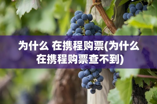 为什么 在携程购票(为什么 在携程购票查不到)
