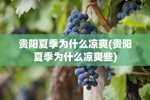 贵阳夏季为什么凉爽(贵阳夏季为什么凉爽些)