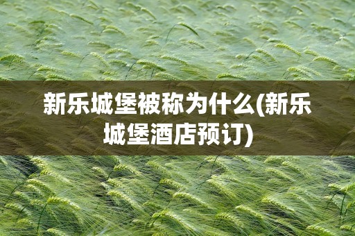 新乐城堡被称为什么(新乐城堡酒店预订)