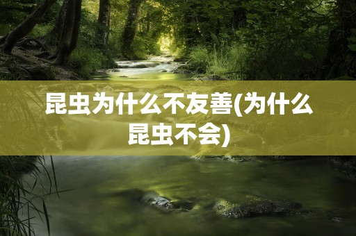 昆虫为什么不友善(为什么昆虫不会)