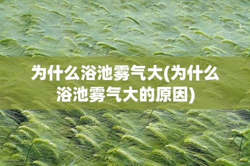 为什么浴池雾气大(为什么浴池雾气大的原因)