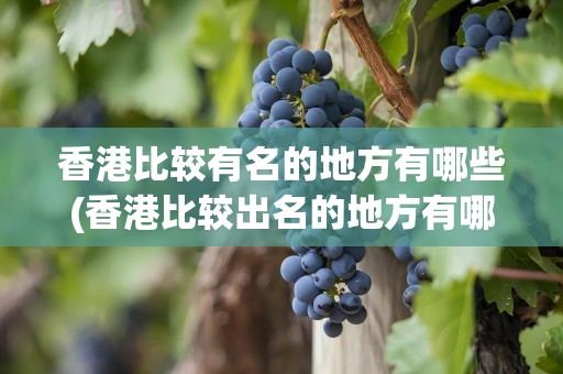 香港比较有名的地方有哪些(香港比较出名的地方有哪些)