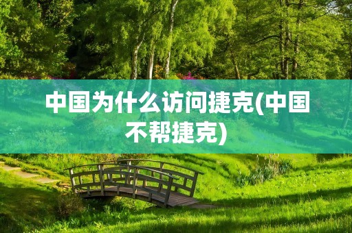中国为什么访问捷克(中国不帮捷克)