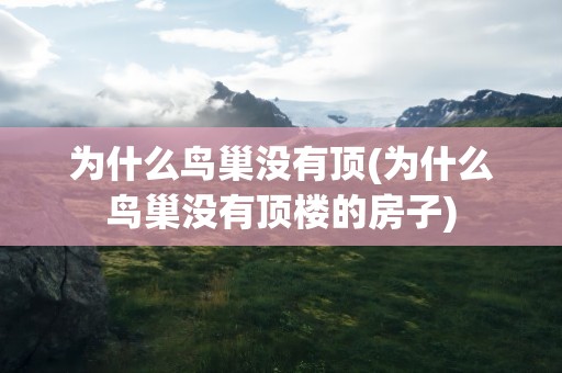 为什么鸟巢没有顶(为什么鸟巢没有顶楼的房子)